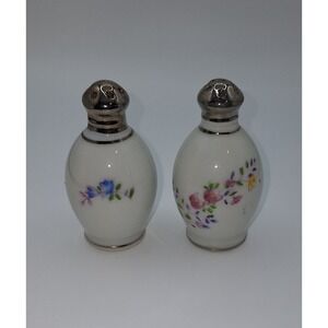 Hinode Salt & Pepper Shakers Hand Painted Florals Flowers Japan Refined China